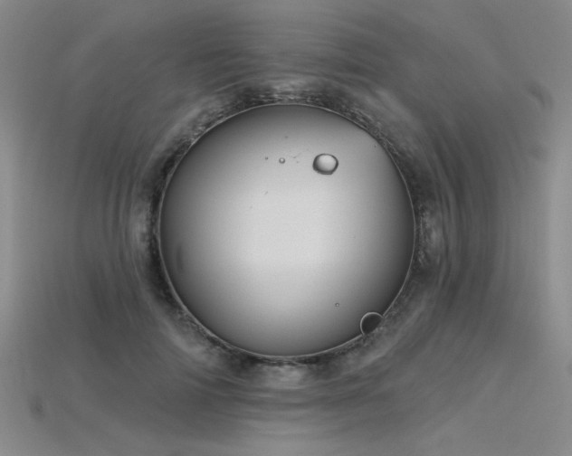 X0000115790698200911131308