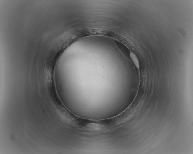 X0000115790699200911131308