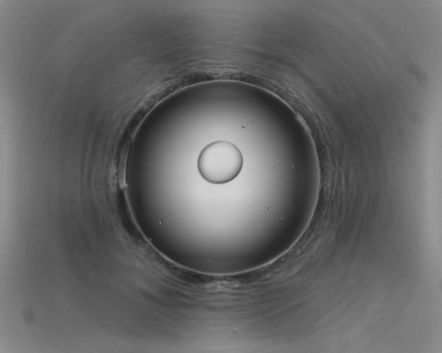 X0000115790700200911131308