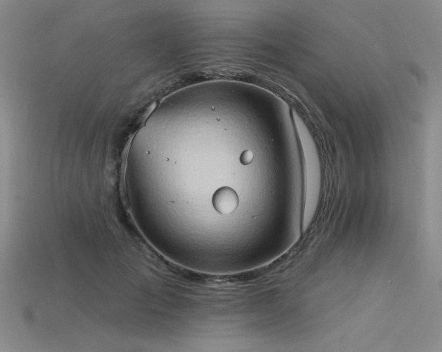 X0000115790701200911131308