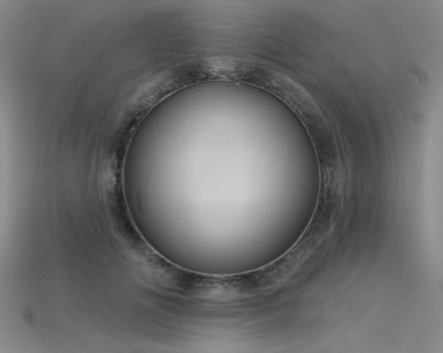 X0000115790702200911131308