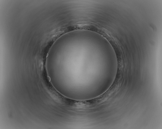 X0000115790703200911131308