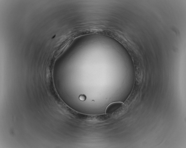 X0000115790704200911131308