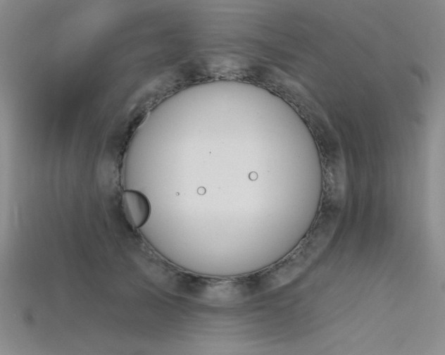 X0000115790705200911131308