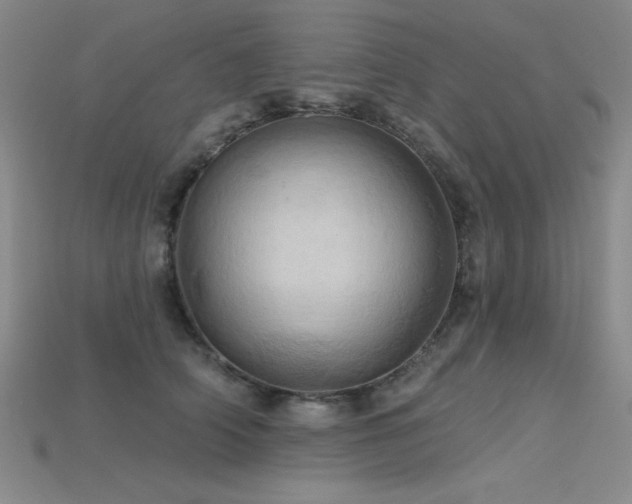 X0000115790706200911131308