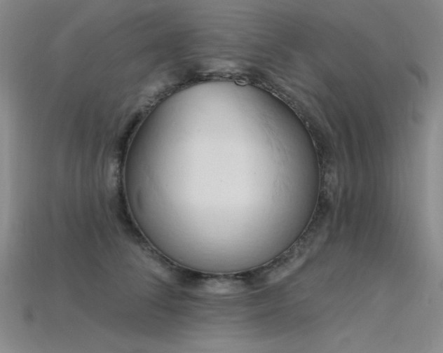 X0000115790708200911131308