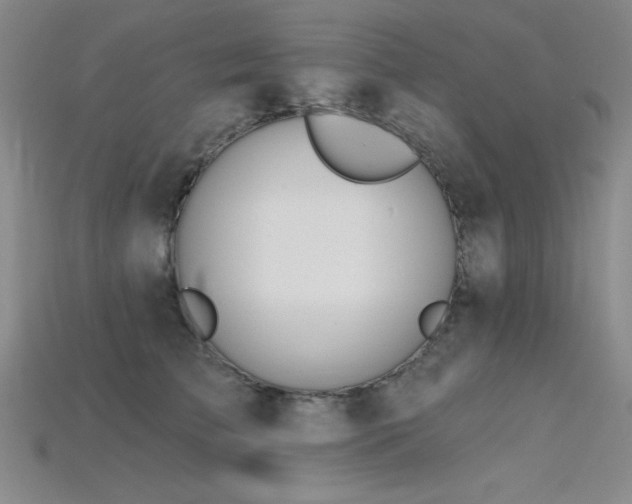 X0000115790709200911131308