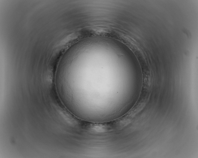 X0000115790710200911131308