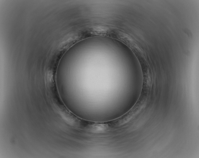 X0000115790711200911131308