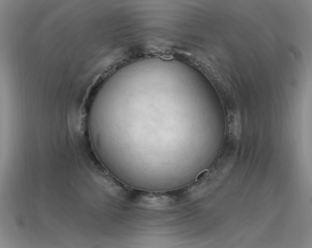 X0000115790712200911131308