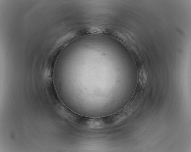 X0000115790714200911131308