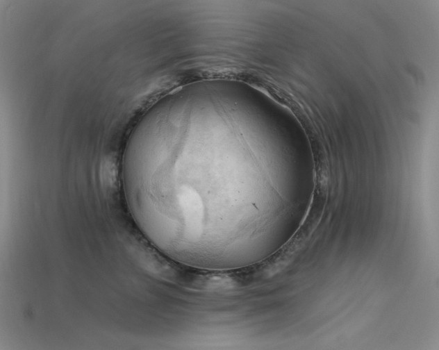 X0000115790715200911131308