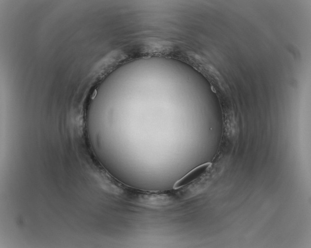 X0000115790716200911131308