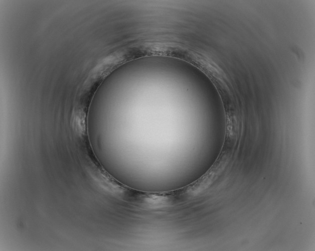 X0000115790718200911131308