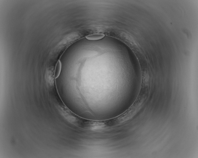 X0000115790719200911131308