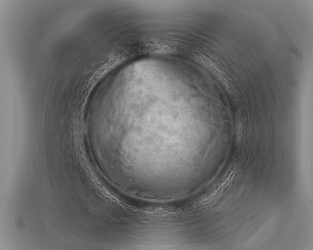 X0000115790721200911131307