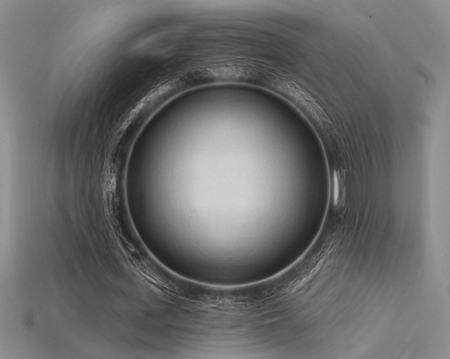 X0000115790723200911131307