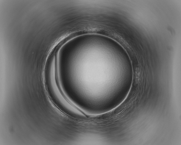 X0000115790726200911131307