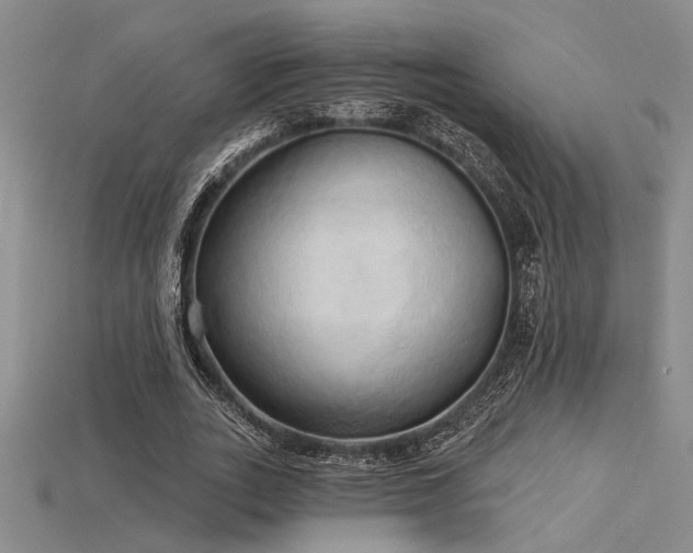 X0000115790727200911131307