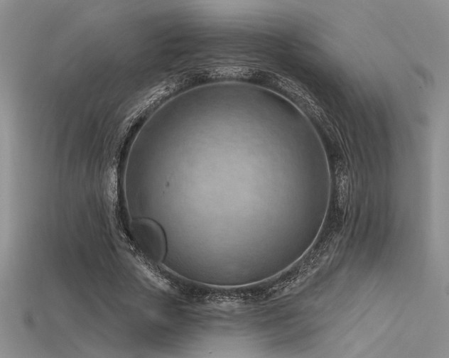 X0000115790729200911131307