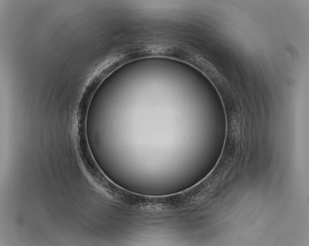 X0000115790730200911131307