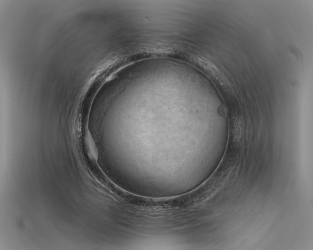 X0000115790731200911131307