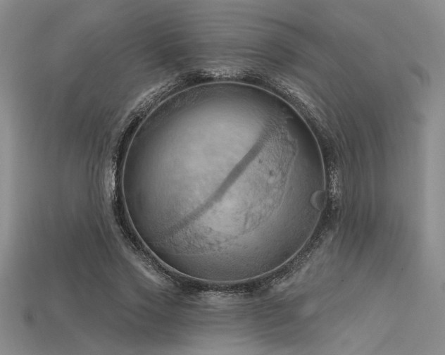 X0000115790733200911131307