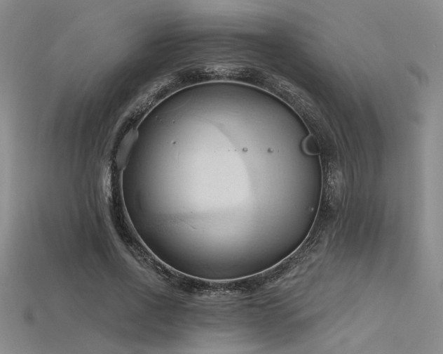 X0000115790734200911131307