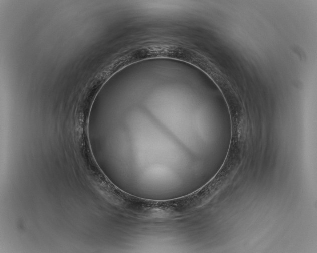 X0000115790737200911131307