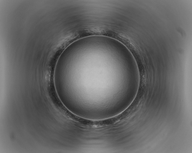 X0000115790739200911131307