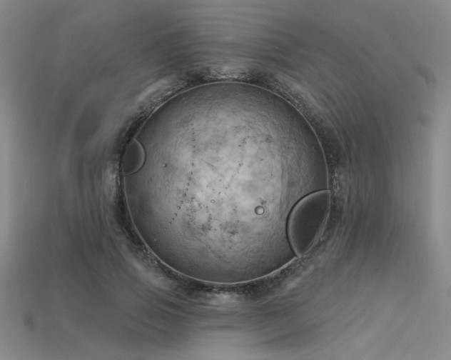 X0000115790741200911131307