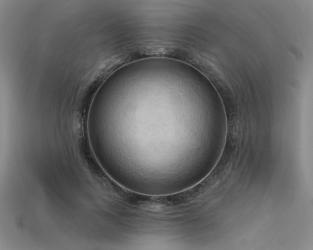 X0000115790743200911131307