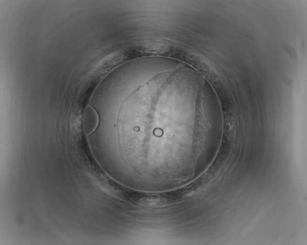 X0000115790745200911131307