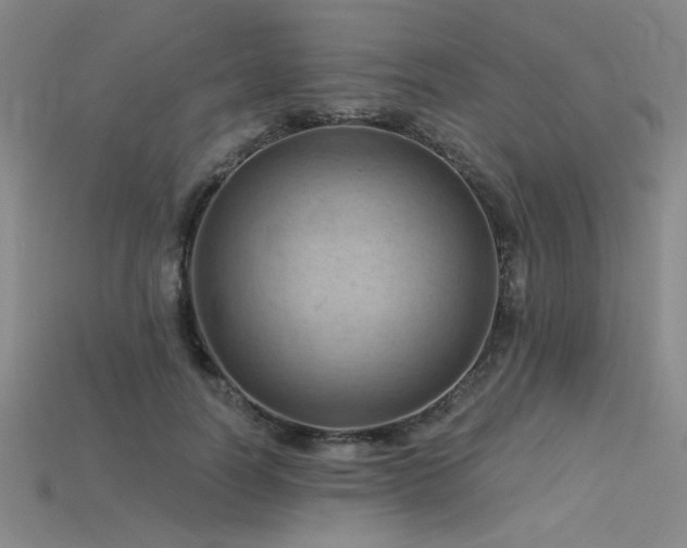 X0000115790746200911131307