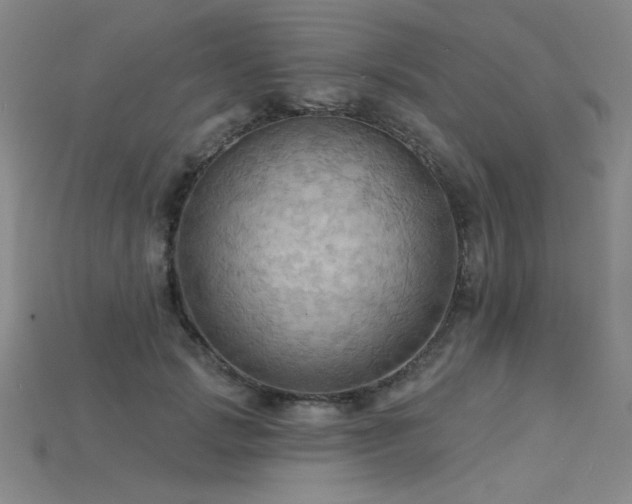 X0000115790749200911131308