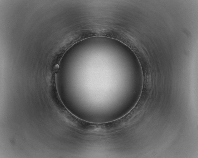 X0000115790750200911131308