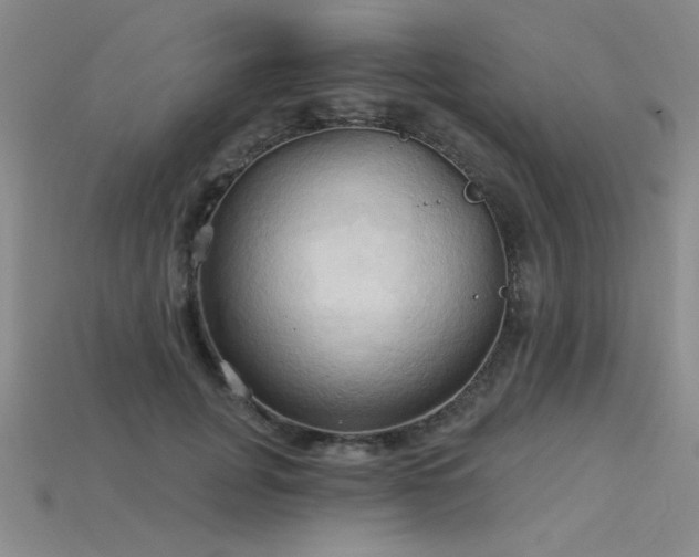 X0000115790751200911131308