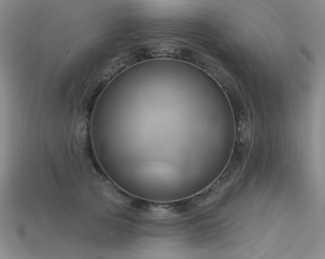 X0000115790753200911131308