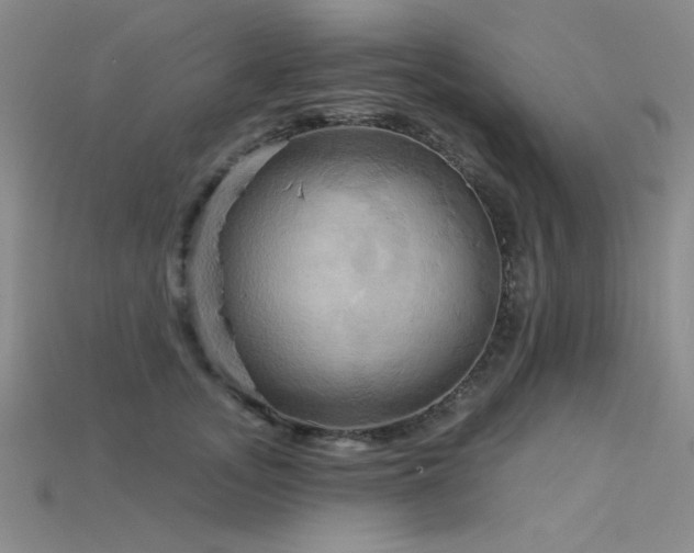 X0000115790755200911131308