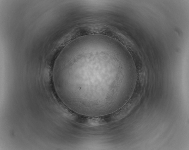 X0000115790757200911131308