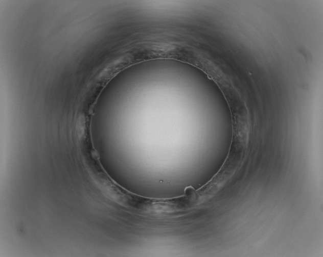 X0000115790758200911131308