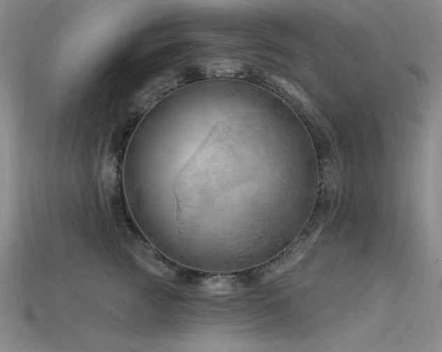 X0000115790761200911131308