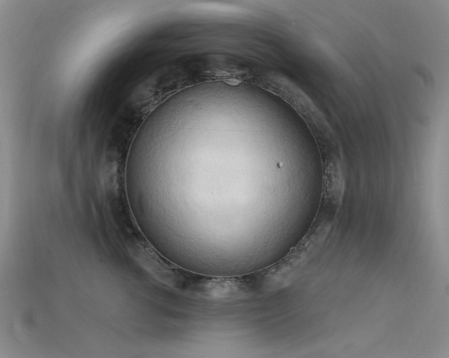 X0000115790762200911131308