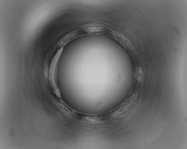 X0000115790763200911131308