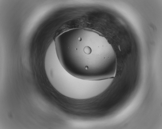 X0000115790766200911131308