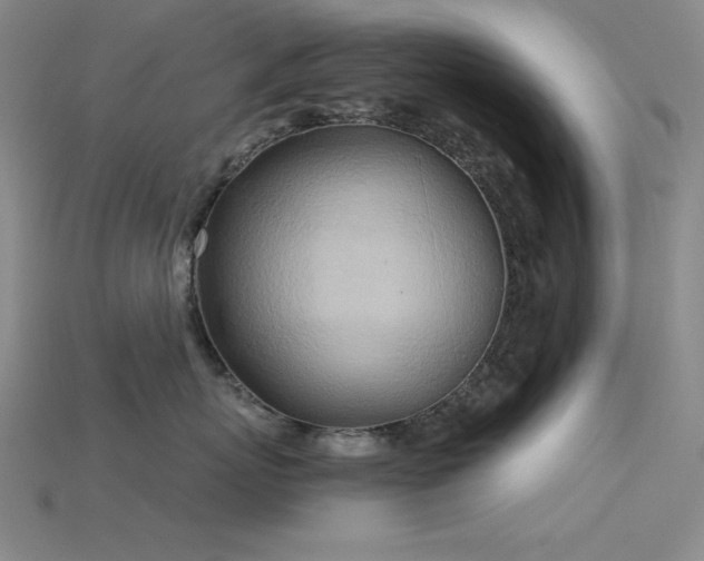 X0000115790767200911131308