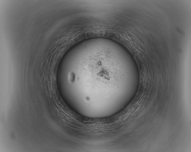 X0000115790769200911131307