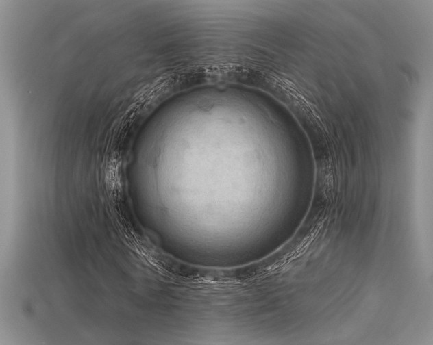 X0000115790770200911131307