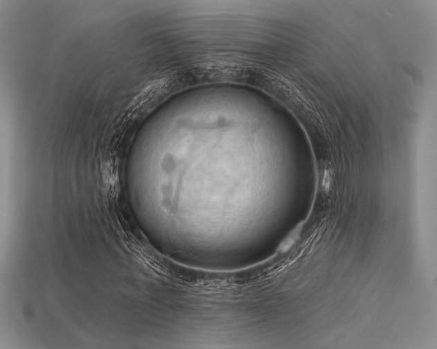 X0000115790771200911131307