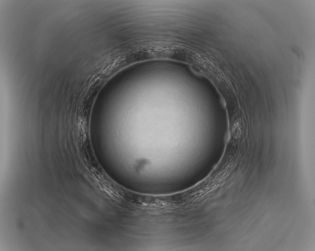 X0000115790772200911131307